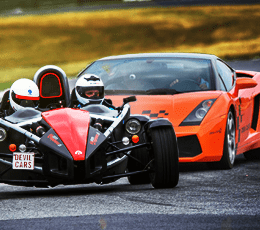 Lamborghini Gallardo vs. Ariel Atom Lamborghini Gallardo vs. Ariel Atom