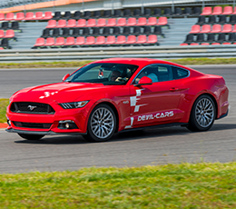 Ford Mustang Ford Mustang