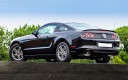 Ford Mustang 14